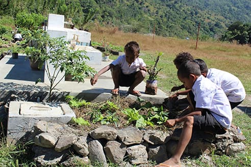 Au Timor-Leste, un loi inédite pour promouvoir l’agroécologie dans les écoles