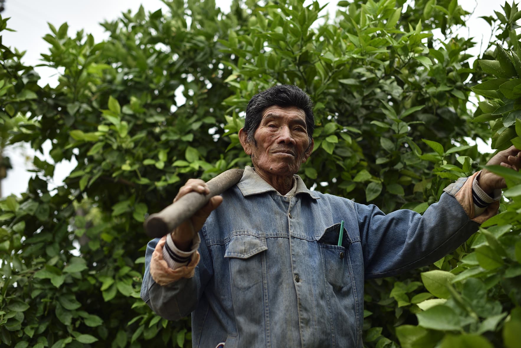 Un homme tient dans sa main ses outils de travail pour l’agriculture familiale en Bolivie, avec le support du CIPCA, partenaire du CCFD-Terre Solidaire