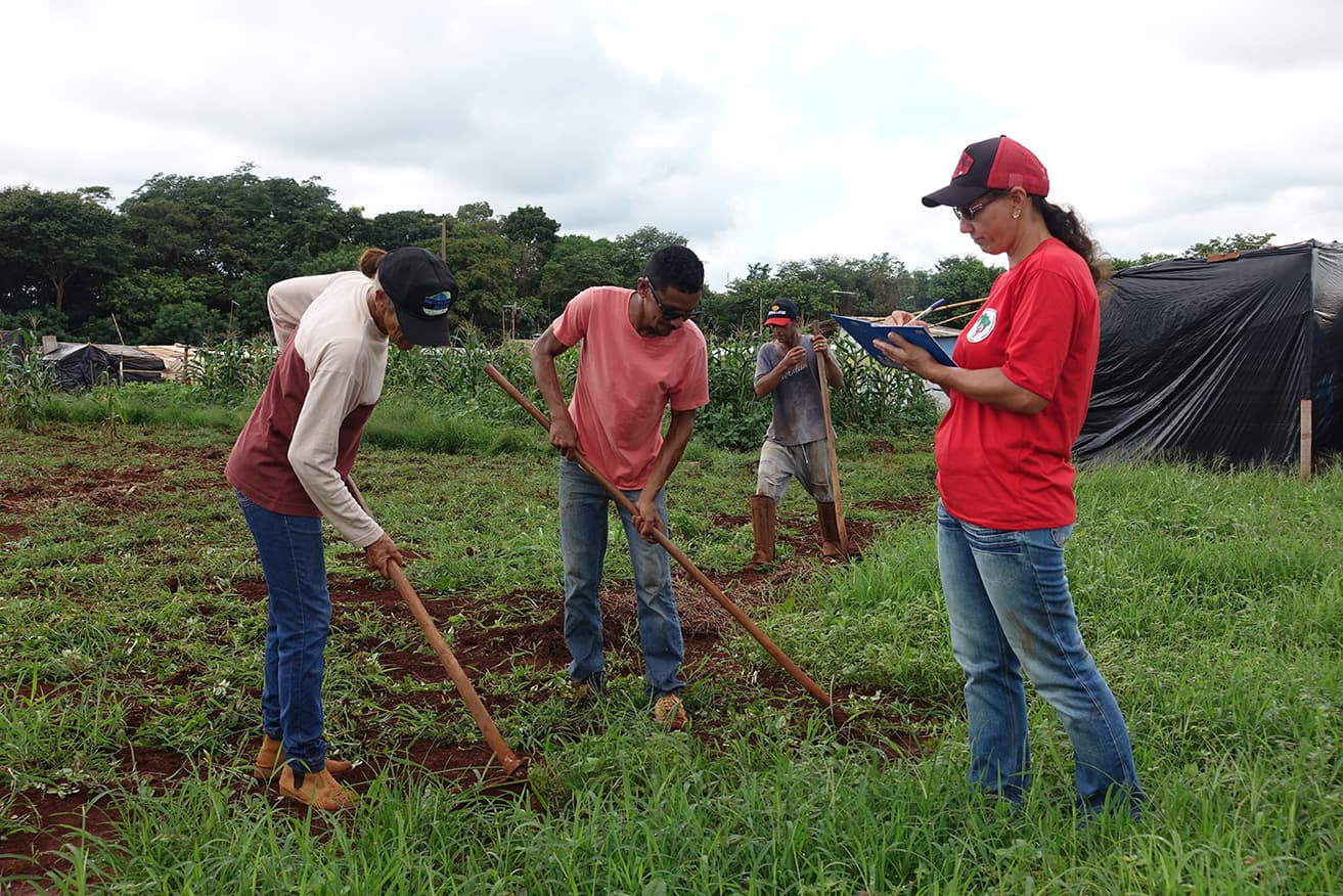 Des volontaires travaillent la terre au Brésil, pour le Mouvement des Sans Terre, partenaire du CCFD-Terre Solidaire