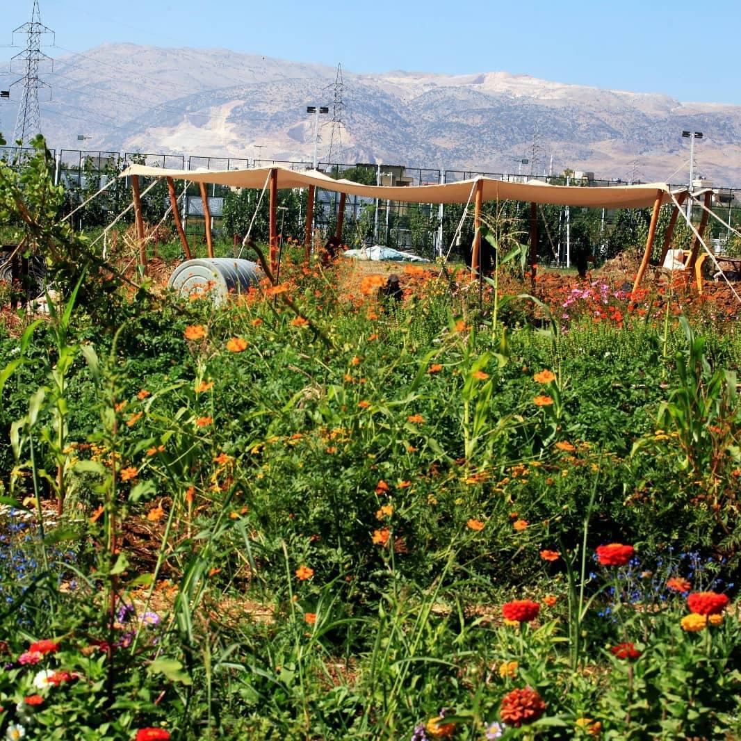 La ferme Buzuruna Juzuruna au Liban, partenaire du CCFD-Terre Solidaire, qui promeut l’agroécologie