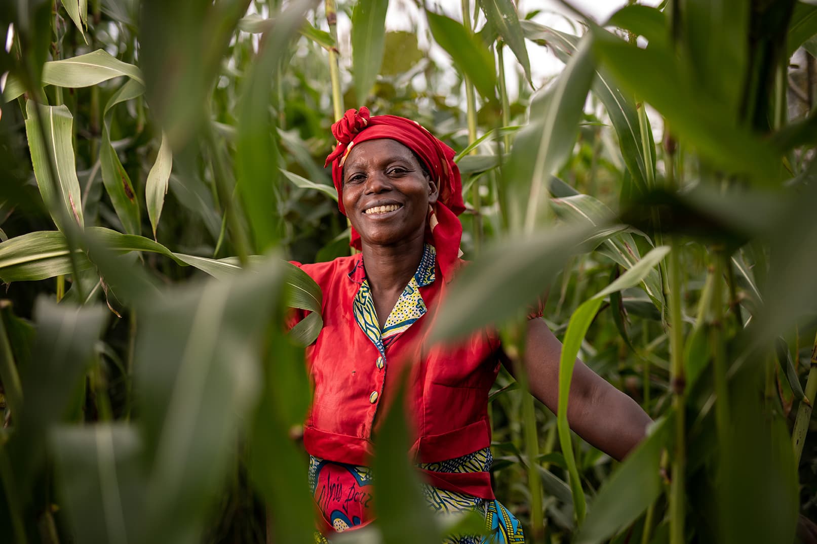 Une femme dans un champ de maïs au Congo