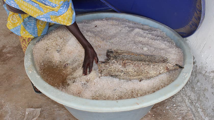Sénégal : Les usines de farines de poisson menacent la sécurité alimentaire