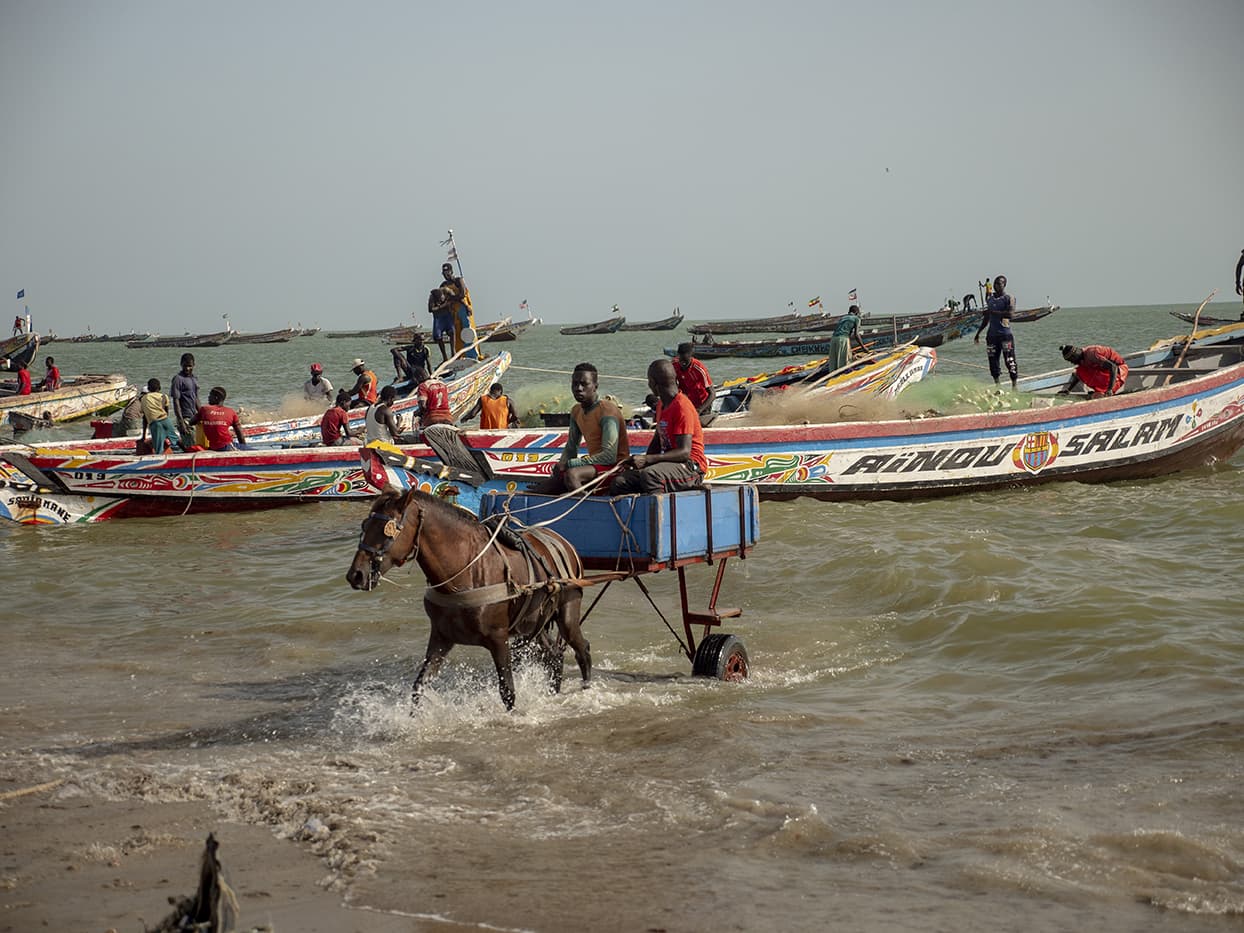 2 hommes dans une calèche tirée par un cheval sur la plage, et participent à la pêche artisanale au Sénégal, en partenariat avec ADEPA