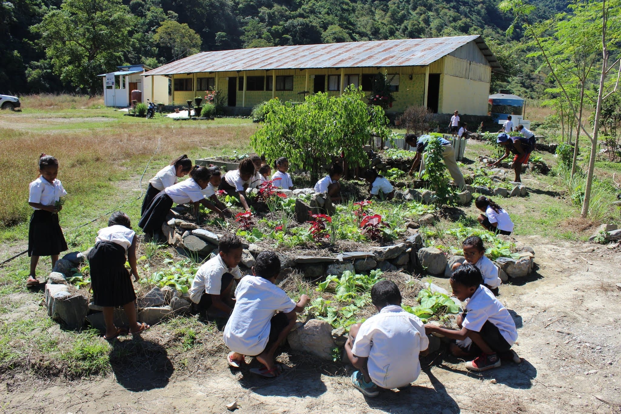 Permatil organise des camps dédiés aux jeunes pour les sensibiliser aux problèmes environnementaux, au Timor-Leste, partenaire du CCFD-Terre Solidaire
